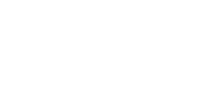 Travel Point Report